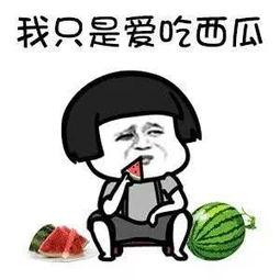 娱乐吃瓜酱有梗的人